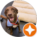 Darika Chatarunrung profile picture